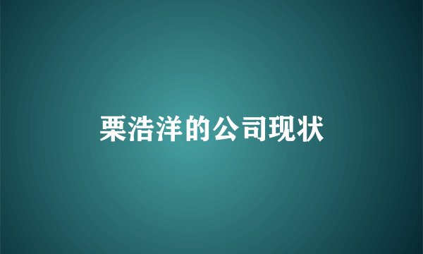 栗浩洋的公司现状