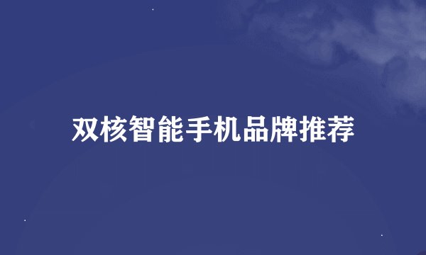 双核智能手机品牌推荐