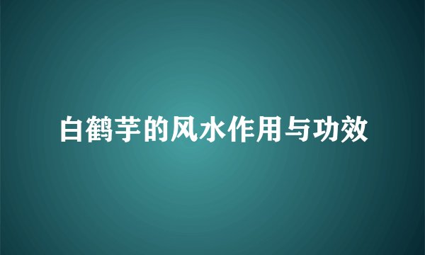 白鹤芋的风水作用与功效