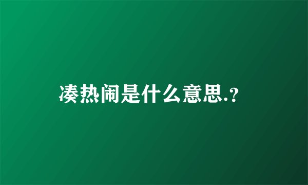 凑热闹是什么意思.？
