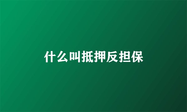 什么叫抵押反担保