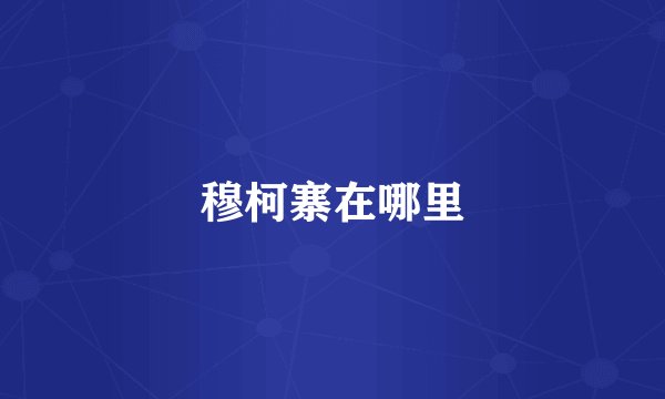 穆柯寨在哪里
