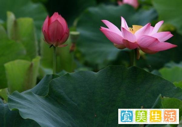 真正的聪明人，都会“留一手”
