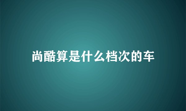 尚酷算是什么档次的车