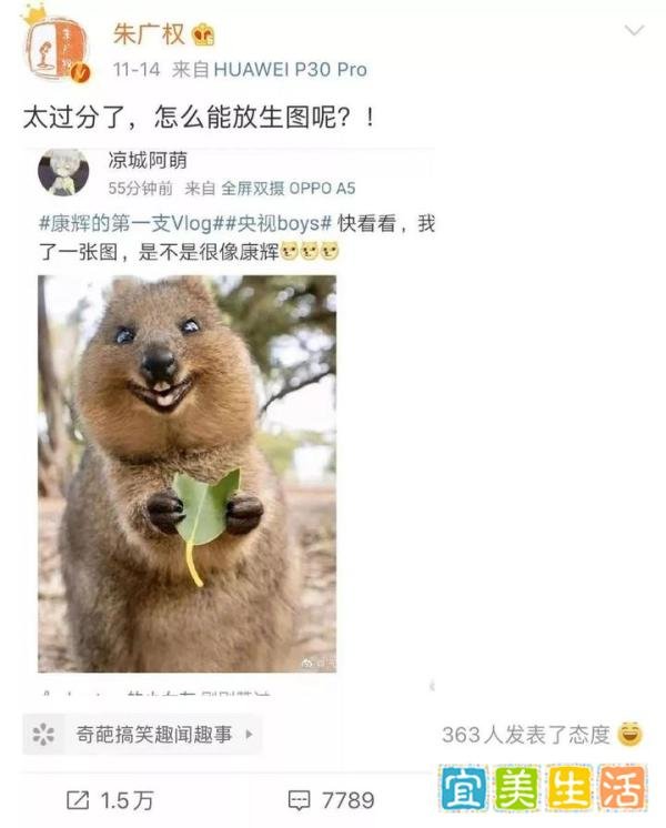 央视两重量级新闻主持人“开撕”，值得围观！