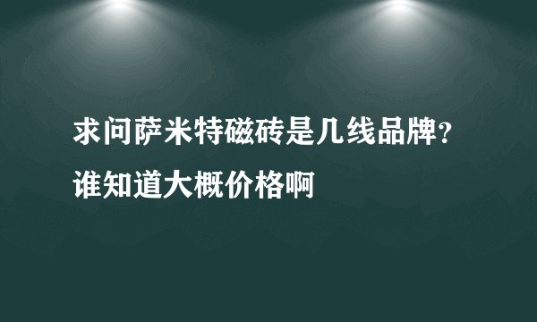 求问萨米特磁砖是几线品牌？谁知道大概价格啊