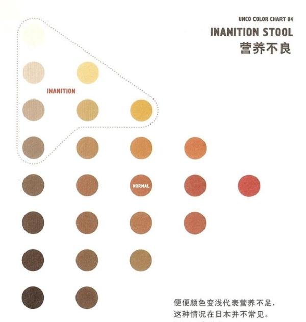 《大便书》读书笔记 —— 正视大便就是正式我们自己