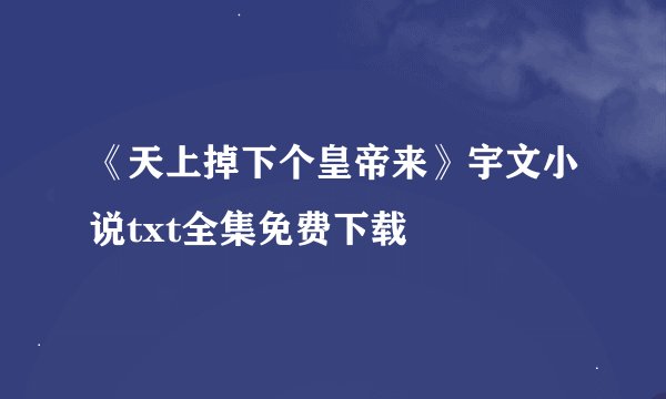 《天上掉下个皇帝来》宇文小说txt全集免费下载