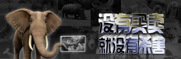 美食博主食用二级保护动物法螺被刑事拘留！