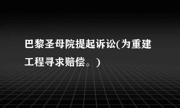 巴黎圣母院提起诉讼(为重建工程寻求赔偿。)