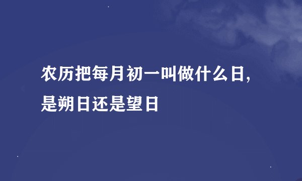 农历把每月初一叫做什么日,是朔日还是望日