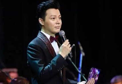 央视名嘴任鲁豫意外受伤,是什么情况?