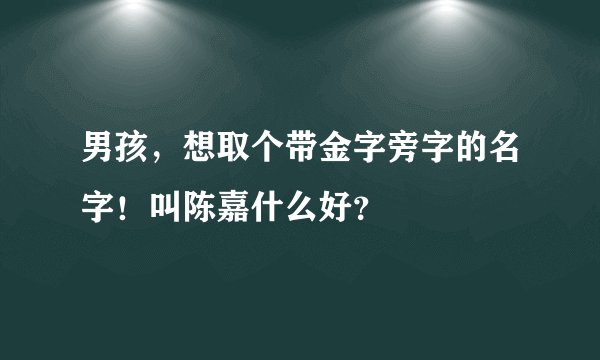 男孩,想取个带金字旁字的名字!叫陈嘉什么好?