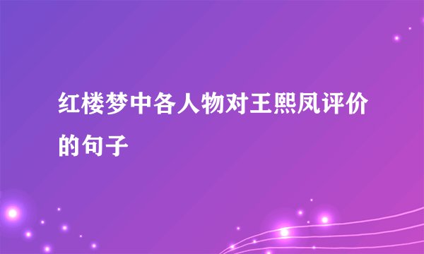 红楼梦中各人物对王熙凤评价的句子