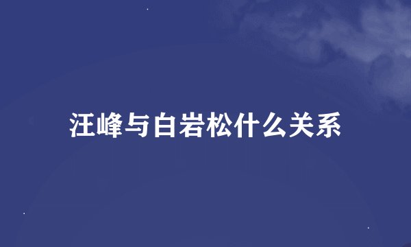 汪峰与白岩松什么关系