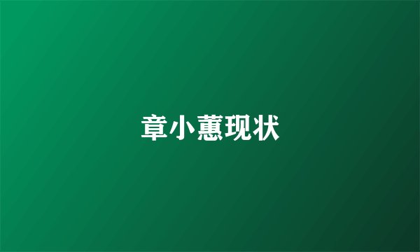 章小蕙现状