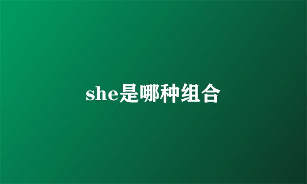she是哪种组合