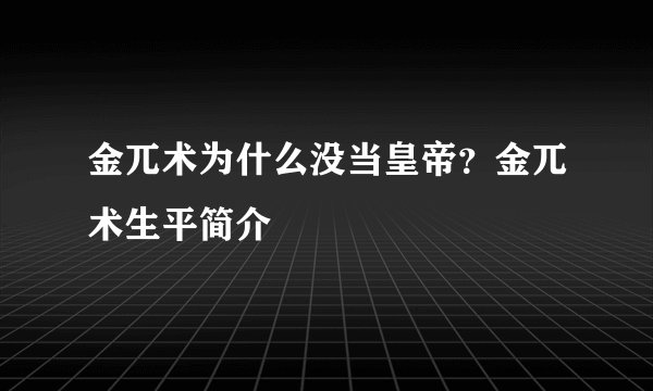 金兀术为什么没当皇帝？金兀术生平简介