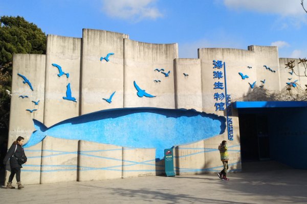 我国最早的水族馆在哪里
