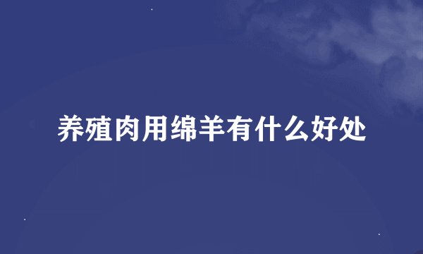 养殖肉用绵羊有什么好处
