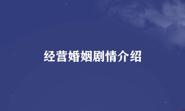 经营婚姻剧情介绍