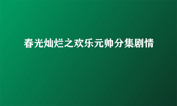 春光灿烂之欢乐元帅分集剧情