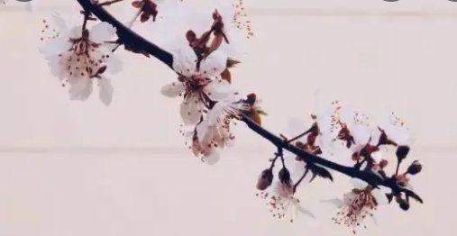 三个臭皮匠赛过诸葛亮的原文和意思？