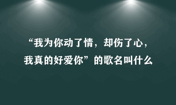 “我为你动了情，却伤了心，我真的好爱你”的歌名叫什么