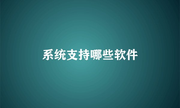 系统支持哪些软件