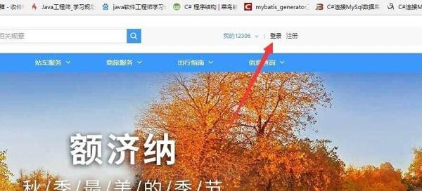 12306自动抢票怎么设置才能抢到票