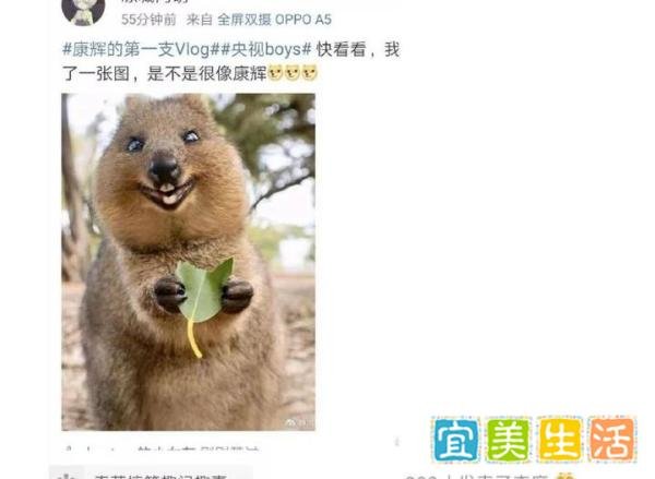 央视两重量级新闻主持人“开撕”，值得围观！