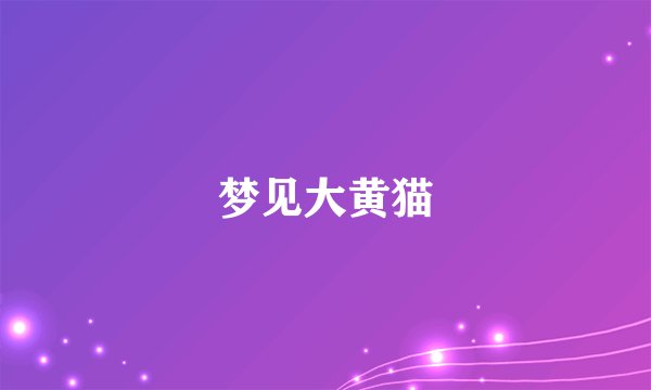 梦见大黄猫