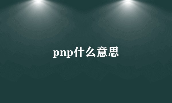 pnp什么意思