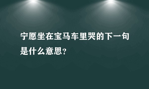 宁愿坐在宝马车里哭的下一句是什么意思?
