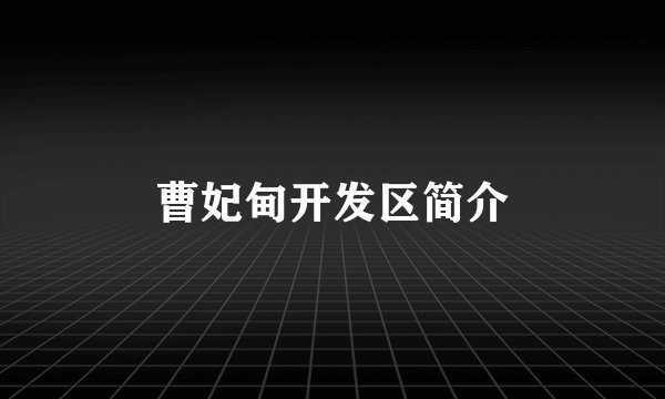 曹妃甸开发区简介