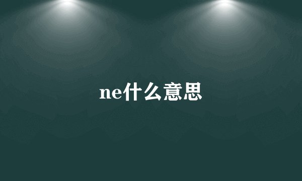 ne什么意思