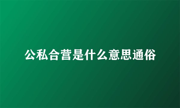 公私合营是什么意思通俗