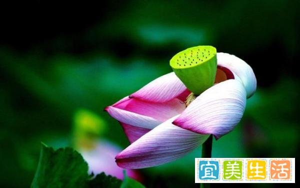 真正的聪明人，都会“留一手”