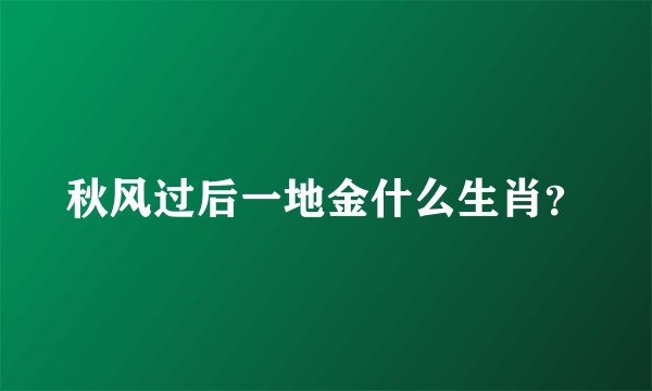 秋风过后一地金什么生肖？