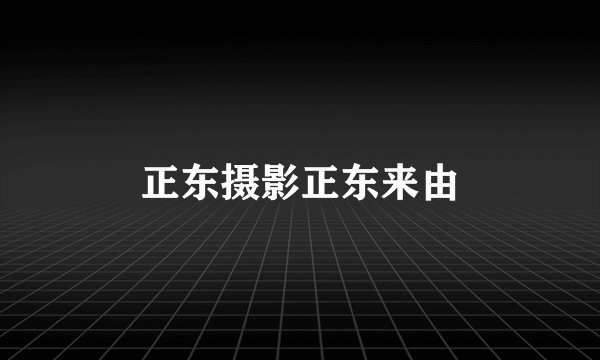 正东摄影正东来由