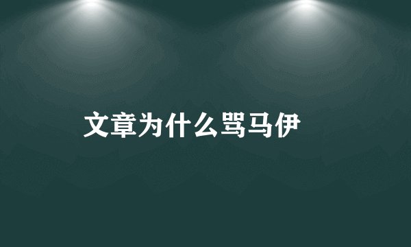 文章为什么骂马伊琍