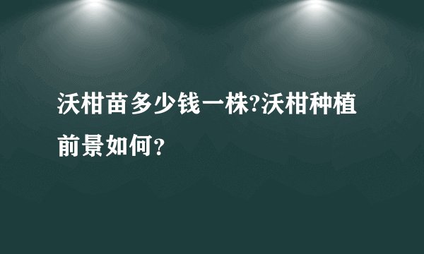 沃柑苗多少钱一株?沃柑种植前景如何？