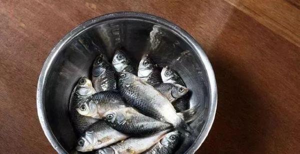 特殊养殖的软骨鲫鱼:奇葩养殖让鱼骨软化,让人吃得很安心!