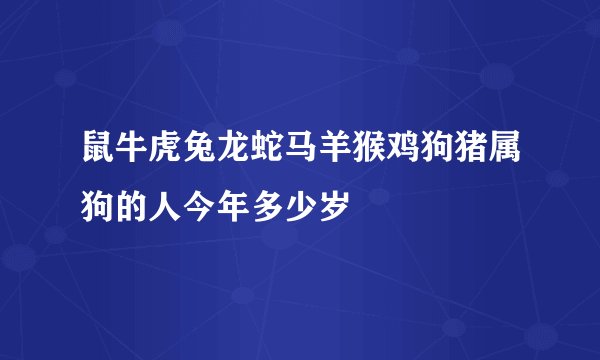 鼠牛虎兔龙蛇马羊猴鸡狗猪属狗的人今年多少岁
