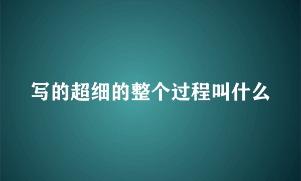 写的超细的整个过程叫什么