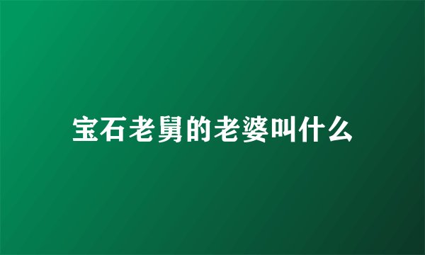 宝石老舅的老婆叫什么