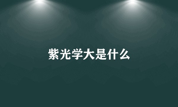 紫光学大是什么