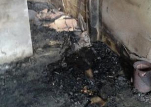 贵州一小女孩被烧死案再调查,家属发声,案件中存在哪些疑点?