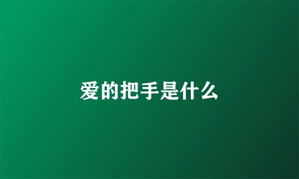 爱的把手是什么