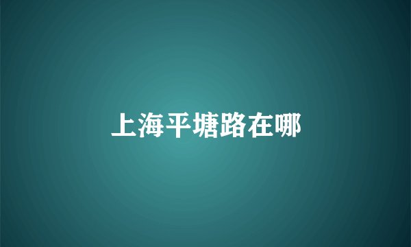 上海平塘路在哪